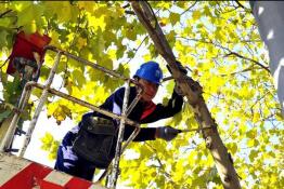 清除線路上的“攔路虎”打響“安全攻堅戰(zhàn)”