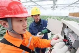 貼心服務(wù)“家庭農(nóng)場(chǎng)”用電