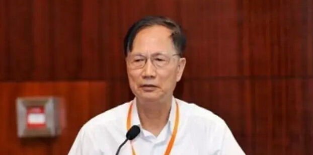 中國科學(xué)院院士張鈸:用人工智能讀懂大數(shù)據(jù)