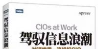 駕馭信息浪潮：對話世界一流組織CIO