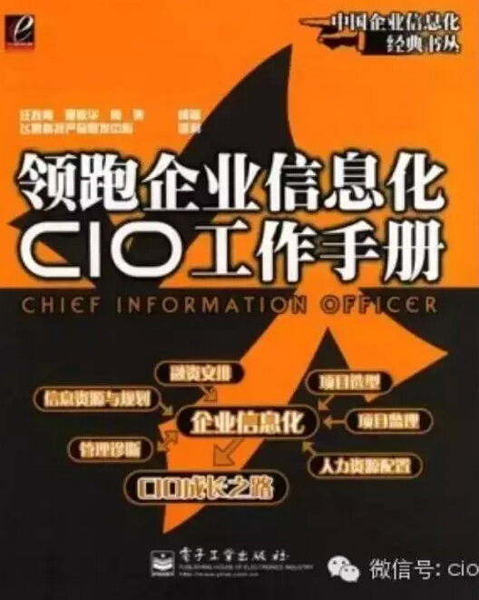 領(lǐng)跑企業(yè)信息化CIO工作手冊