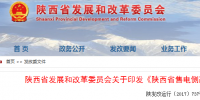 《陜西省售電側(cè)改革試點(diǎn)實(shí)施細(xì)則(暫行)》：公開(kāi)電網(wǎng)結(jié)構(gòu) 限制售電公司申報(bào)電量