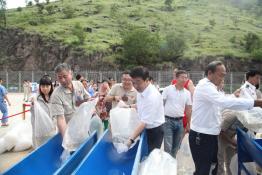 觀音巖水電：魚(yú)類(lèi)放流