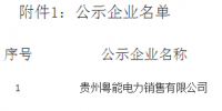 《關(guān)于貴州粵能電力銷(xiāo)售有限公司注冊(cè)成為貴州省電力自主交易市場(chǎng)主體相關(guān)信息的公示》