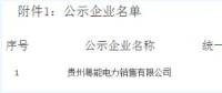 貴州新公示1家售電公司 貴州粵能電力銷售有限公司