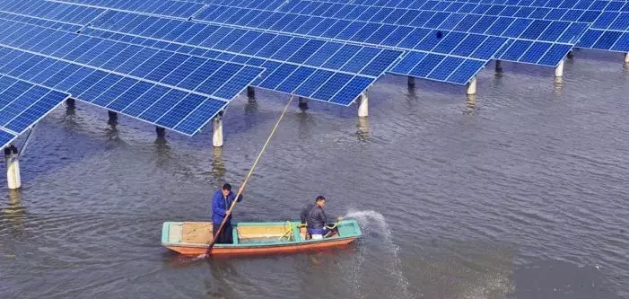  養(yǎng)殖發(fā)電兩不誤瑞元送去清潔電力