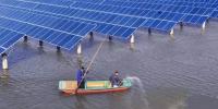  養(yǎng)殖發(fā)電兩不誤瑞元送去清潔電力