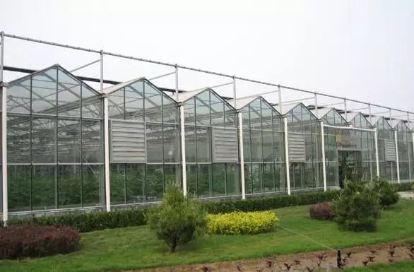 電能"雙替代"！山東去年累計(jì)節(jié)省煤炭消耗1680萬(wàn)噸