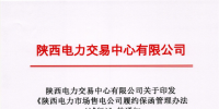 《陜西電力市場售電公司履約保函管理辦法(試行)》的通知