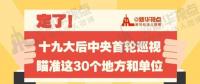 定了！華電集團(tuán)、中核集團(tuán)將接受十九屆中央第一輪巡視