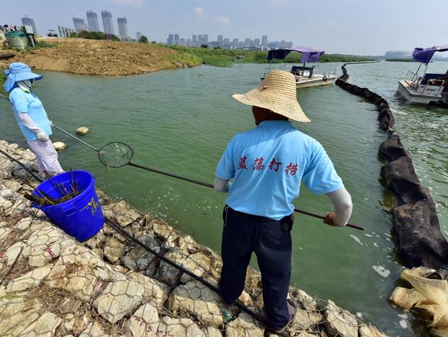 補足生態(tài)短板 治污攻堅戰(zhàn)沒退路