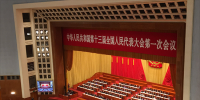 兩會(huì)代表議新能源汽車增長的“<font color=