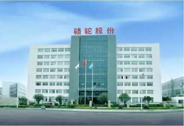 克羅地亞超跑遇上中國(guó)電池 將在華建設(shè)生產(chǎn)基地