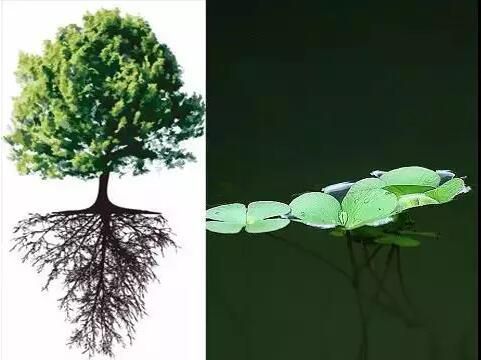 一起來(lái)認(rèn)識(shí)海上風(fēng)電安裝作業(yè)平臺(tái)