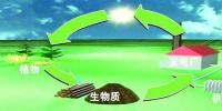 生物質(zhì)是替代核電、火電 彌補(bǔ)天然氣缺口的一種重要新能源