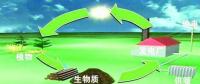 生物質(zhì)是替代核電、火電 彌補(bǔ)天然氣缺口的一種重要新能源
