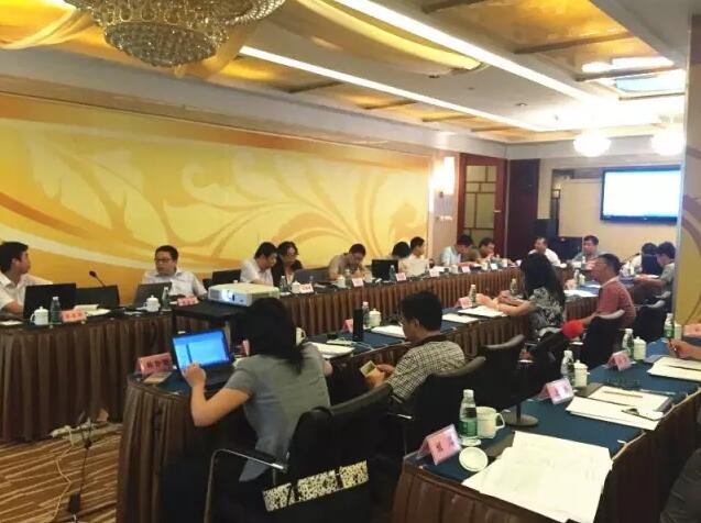 《低風(fēng)速風(fēng)力發(fā)電機(jī)組選型導(dǎo)則》送審稿通過審查