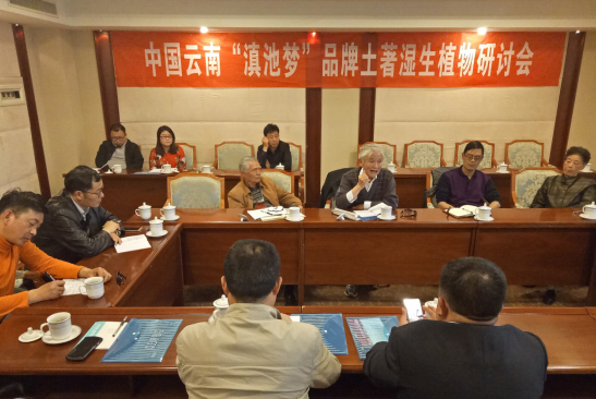 云南舉辦品牌土著濕生植物研討會(huì) 用品牌力量助推濕地生態(tài)環(huán)境建設(shè)