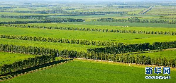 三北防護林不擋沙塵？專家：固沙作用明顯，此次沙塵來自蒙古