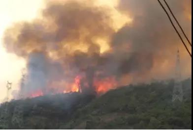 聽說最近輸電線路和鐵塔“火”啦！