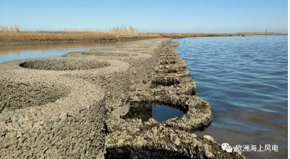 維斯塔斯海上風(fēng)機(jī)搞創(chuàng)新：居然還用到生蠔！