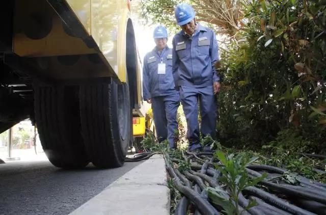 楚雄州慶，跟著小赫茲一起湊熱鬧！