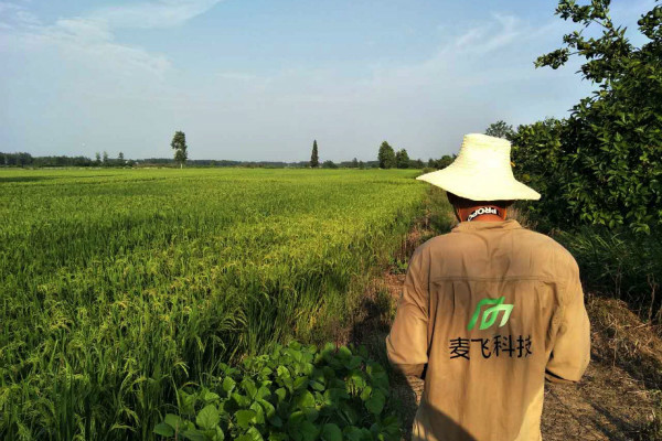 “AI+遙感”覬覦萬億級(jí)智慧農(nóng)業(yè)市場，這次沒有中間商賺差價(jià) 