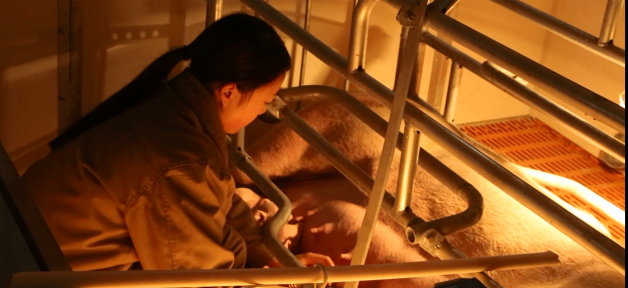 “農(nóng)村貸”掀“互金+農(nóng)業(yè)”新浪潮 打通農(nóng)村金融服務(wù)“最后一公里”