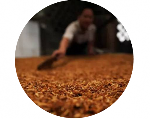 麥田國(guó)際——麥田里的守望者，“互聯(lián)網(wǎng)+農(nóng)業(yè)”的先行者