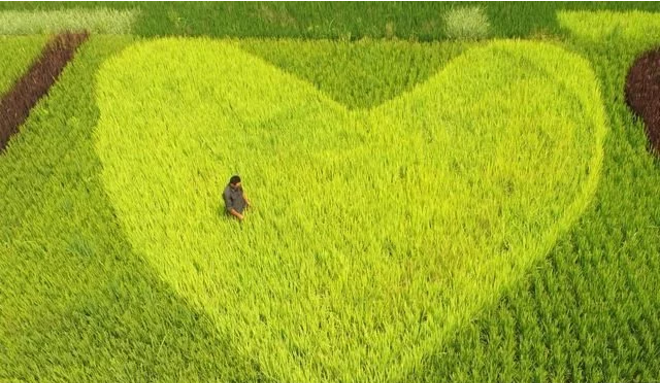 互聯(lián)網(wǎng)給農(nóng)民農(nóng)業(yè)帶來了什么？本文告訴你！