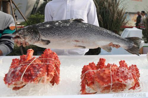 互聯(lián)網(wǎng)+農(nóng)業(yè)，最好切入的是銷售環(huán)節(jié)？