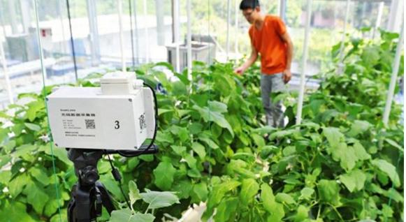 互聯(lián)網(wǎng)+農(nóng)業(yè) 下一個風(fēng)口！