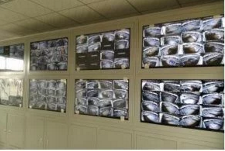 智能化養(yǎng)豬系統(tǒng)，現(xiàn)代化農(nóng)業(yè)發(fā)展之路