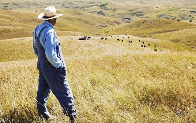 互聯(lián)網(wǎng)訂單農(nóng)業(yè)｜20萬消費(fèi)者變身農(nóng)場(chǎng)主