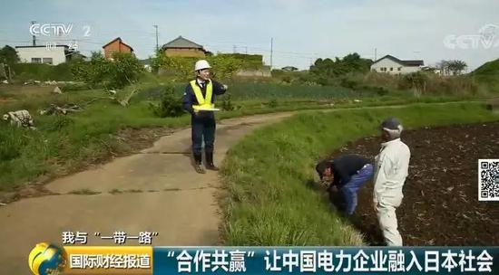 中國央企用光伏帶日本農民致富！10倍租金盤活荒廢農地