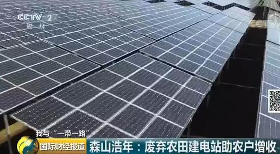 中國央企用光伏帶日本農民致富！10倍租金盤活荒廢農地