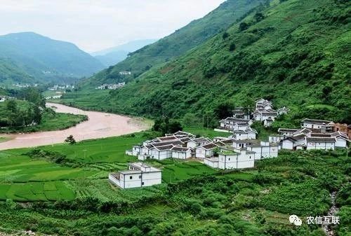 移動(dòng)互聯(lián)網(wǎng)走進(jìn)農(nóng)村，推動(dòng)農(nóng)業(yè)產(chǎn)業(yè)的智慧化轉(zhuǎn)型升級(jí) 