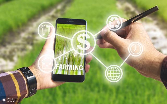 鍵盤聲替代了麻將聲，互聯(lián)網(wǎng)農(nóng)業(yè)變革正當(dāng)時