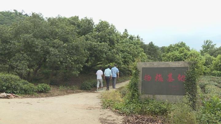 插上?“互聯(lián)網(wǎng)+”翅膀 長(zhǎng)興讓新鮮楊梅“遠(yuǎn)走高飛”