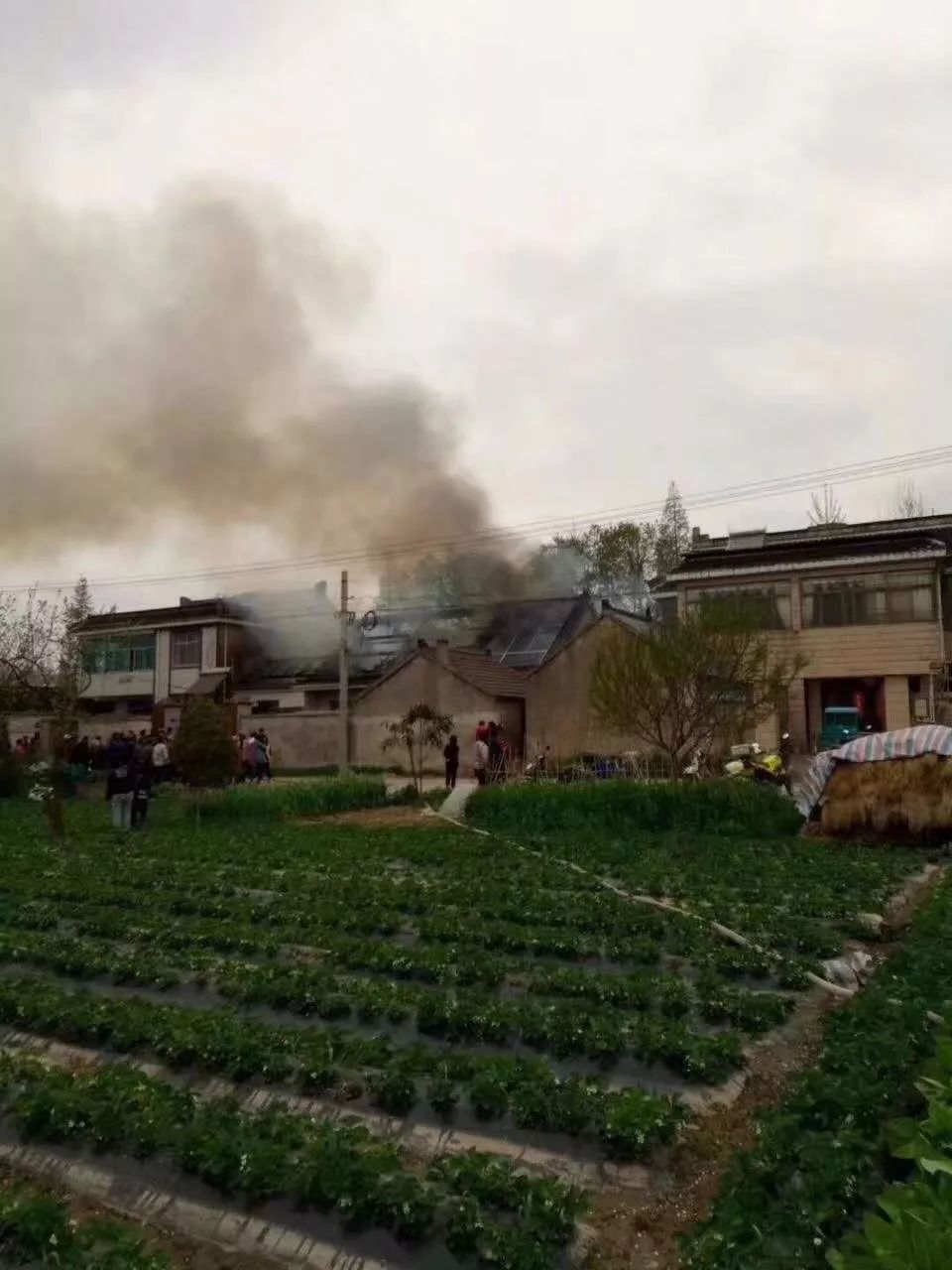 全國多起光伏火災：損失數億元 虧損能否找回？