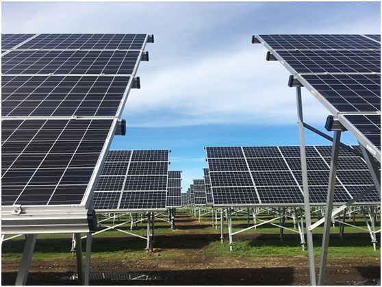 光伏新政板上釘釘 “凜冬”之中的轉(zhuǎn)機(jī)在哪里？