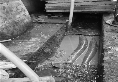 暗管偷排，涉案公司及四名責(zé)任人污染環(huán)境終獲刑