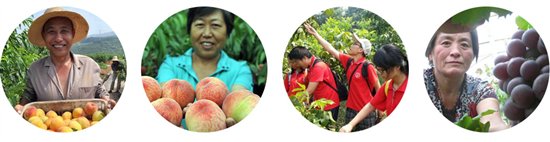 開創(chuàng)互聯(lián)網(wǎng)+云平臺(tái)農(nóng)業(yè)新時(shí)代