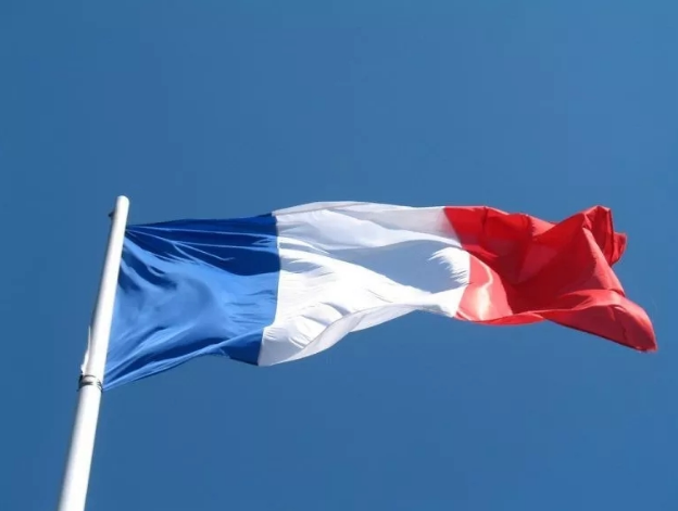 法國總統(tǒng)宣布——海上風(fēng)電降電價！