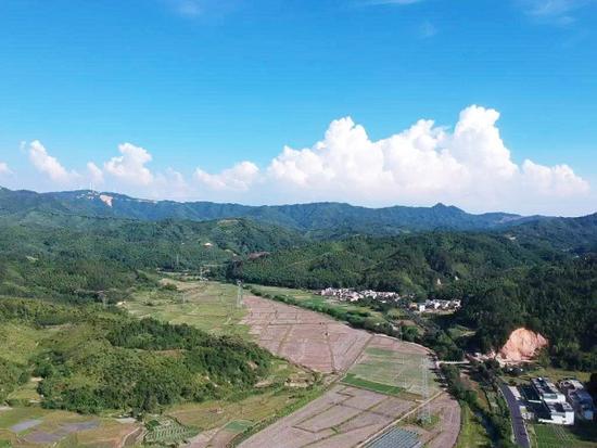 華行集團(tuán)張麗維:互聯(lián)網(wǎng)農(nóng)業(yè)下一個(gè)風(fēng)口