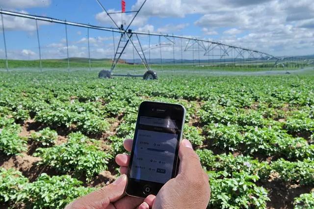 國(guó)務(wù)院常務(wù)會(huì)議鼓勵(lì)的“互聯(lián)網(wǎng)+農(nóng)業(yè)”創(chuàng)新手段，幫你找到了案例