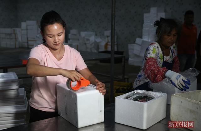 “互聯(lián)網(wǎng)+農(nóng)業(yè)”，創(chuàng)造農(nóng)村發(fā)展新活力