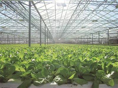 「互聯(lián)網(wǎng)+農(nóng)業(yè)」大數(shù)據(jù)開啟山西智慧農(nóng)業(yè)新時代