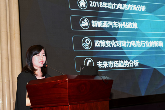 張雨：補(bǔ)貼政策退坡將對(duì)動(dòng)力電池行業(yè)格局產(chǎn)生重大影響
