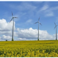 風(fēng)電產(chǎn)業(yè)觀(guān)察：風(fēng)電行業(yè)的四個(gè)確定、三個(gè)不確定